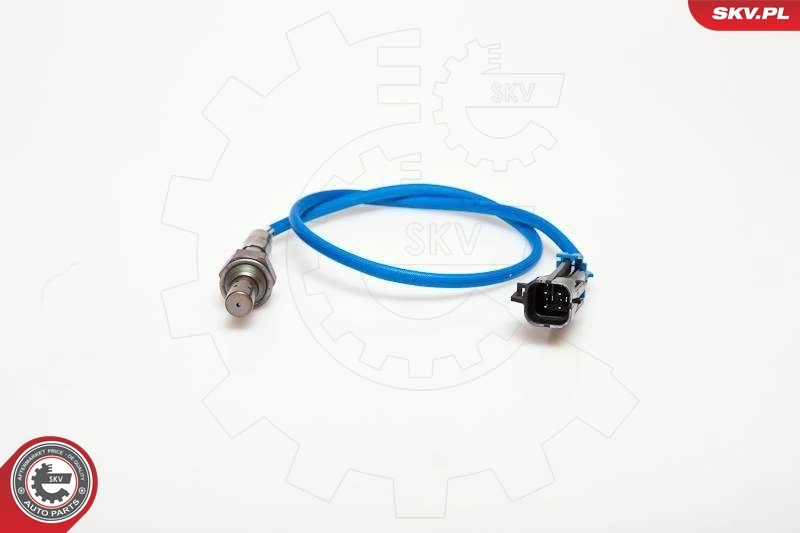 Oxygen Sensor